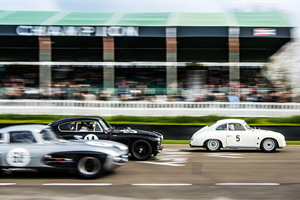 78th Goodwood Members Meeting entry list announced